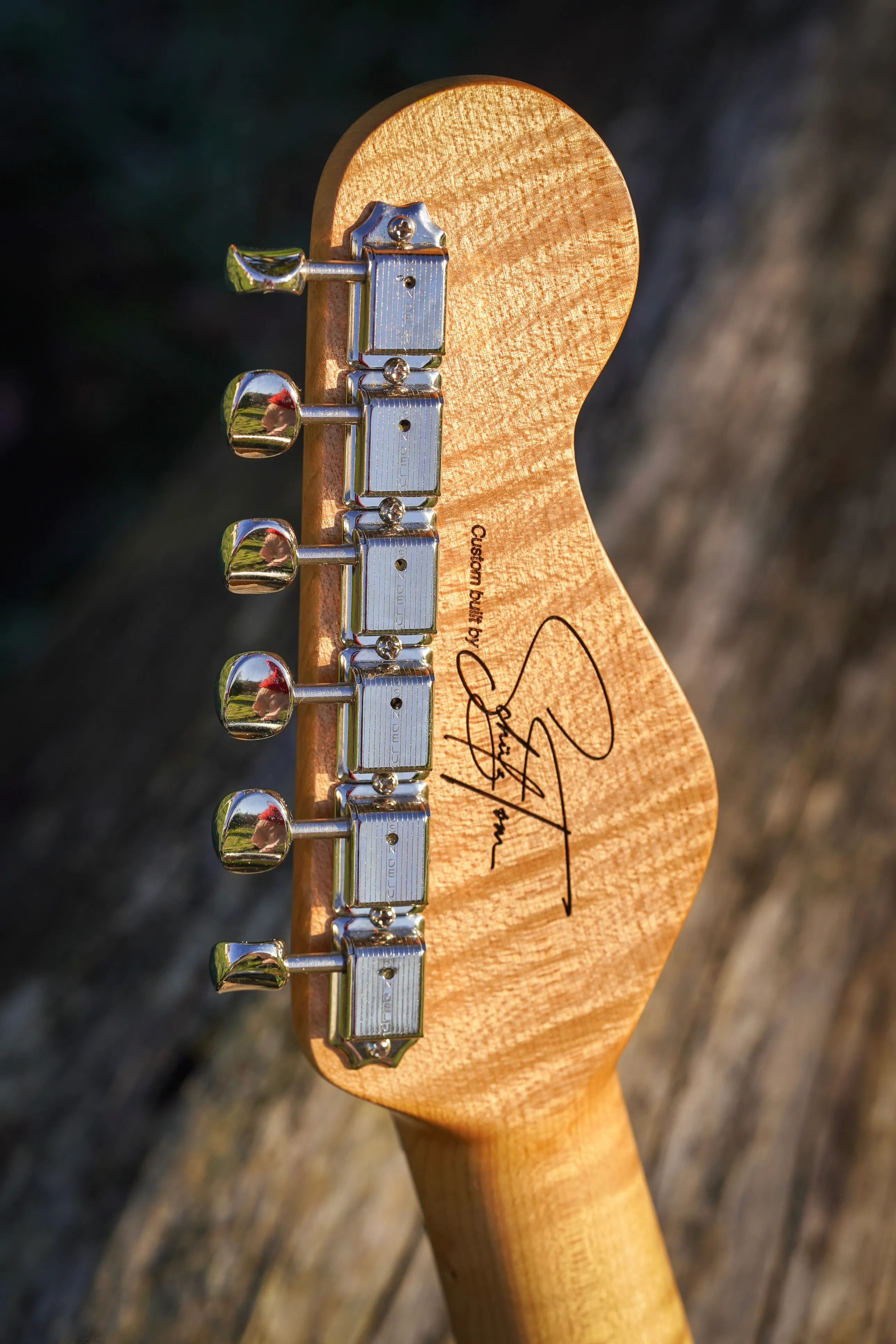 Melusina Guitar Highlight - Highlight09.jpg